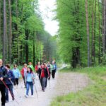 Las. ścieżką wśród drzew idzie grupa miłośników nordic walkingu