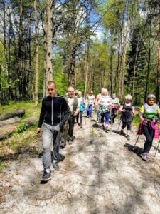 Las. Drogą wśród drzew maszeruje kilkanaście osób, wspierając się na kijkach do nordic walkingu. Świeci słońce.