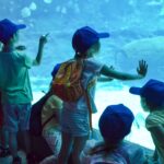 Grupa dzieciaków znajduje się w zoo w podwodnym akwarium. Dzieci z ogromnym zaciekawieniem oglądają przepływające wokół nich ryby.