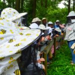 Grupa dzieciaków w kapeluszach pszczelarskich przygląda się dorosłej kobiecie, która prezentuje im plaster miodu.