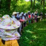 Grupa dzieciaków w specjalnych ochronnych, pszczelarskich kapeluszach stoi wzdłuż drewnianej barierki w przestrzeni leśnej. Dzieci przyglądają się plastrom miodu, które pokazuje im dorosła kobieta znajdująca się za barierką.