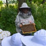 Dorosła kobieta pokazuje grupie dzieci plastry miodu. Wszyscy ubrani są w pszczelarskie stroje ochronne. Z uwagą przyglądają się pszczołom.