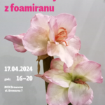 Plakat informujący o warsztatach dla młodzieży i dorosłych pn. "Kwiat amarylisa z foamiranu".